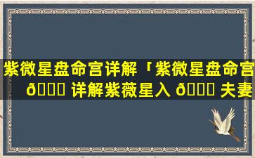 紫微星盘命宫详解「紫微星盘命宫 🐛 详解紫薇星入 🐛 夫妻宫」